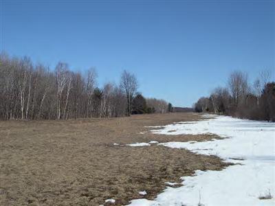 17502 Biggie Road Kaleva, MI 49645 - Photo 5 of 7 Additional Photo