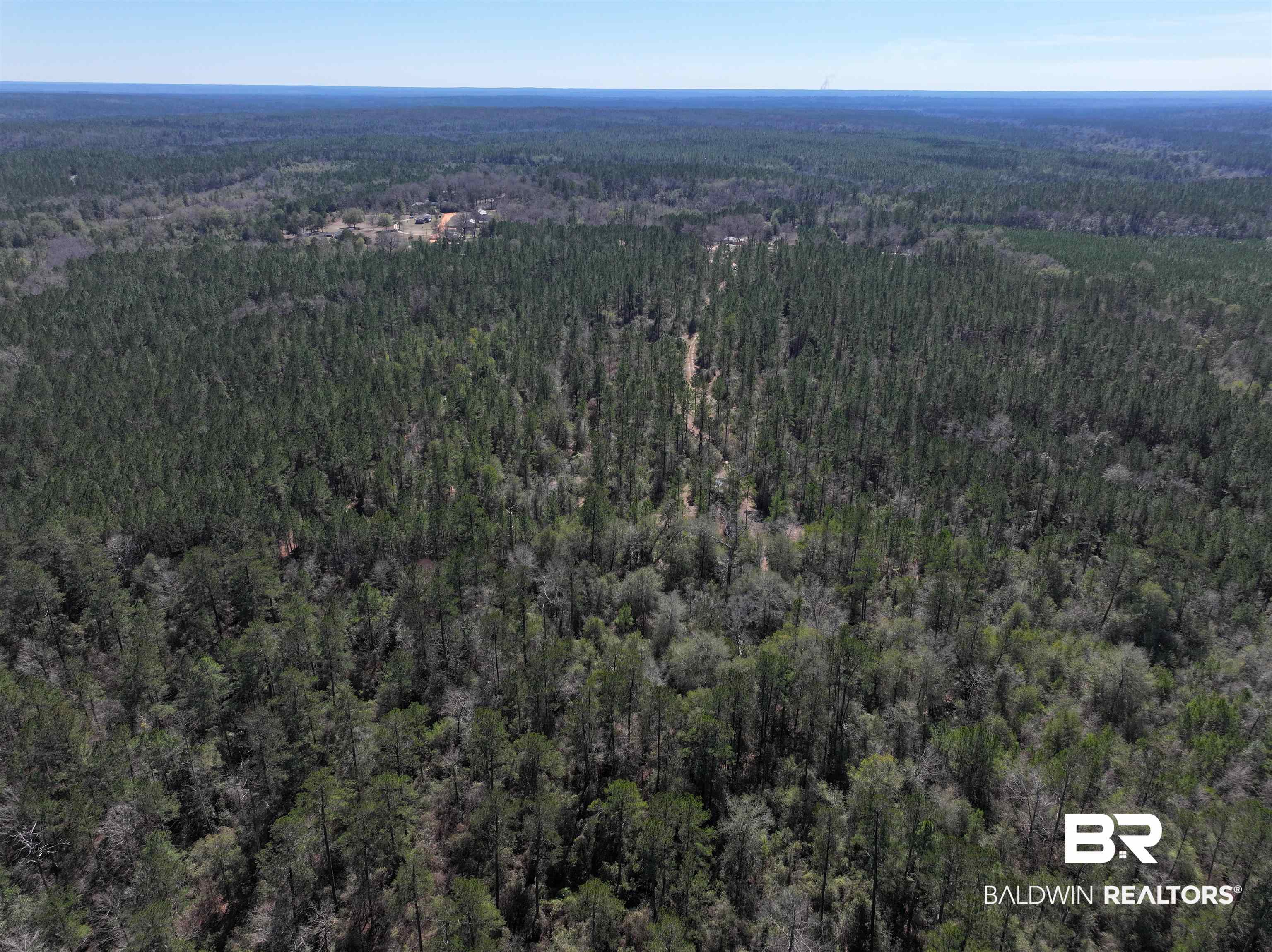 0 Murder Creek Road Brewton, AL 36426 - Photo 2 of 8 Drone / aerial view of a forest