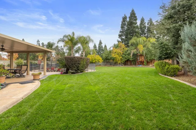 a view of yard with green space and trees