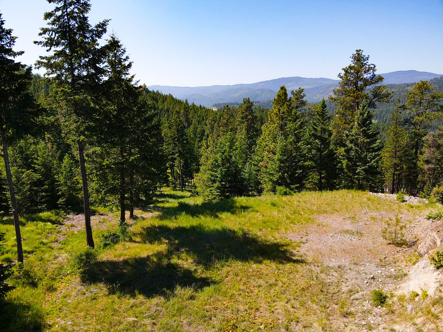 82 Hyden Ridge Road Lakeside, MT 59922 - Photo 5 of 17 potential building site