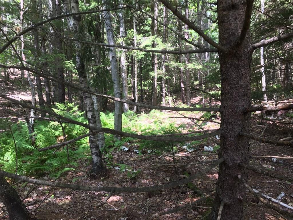 0 Brightwater Road Phippsburg, ME 04562 - Photo 4 of 8 Photo