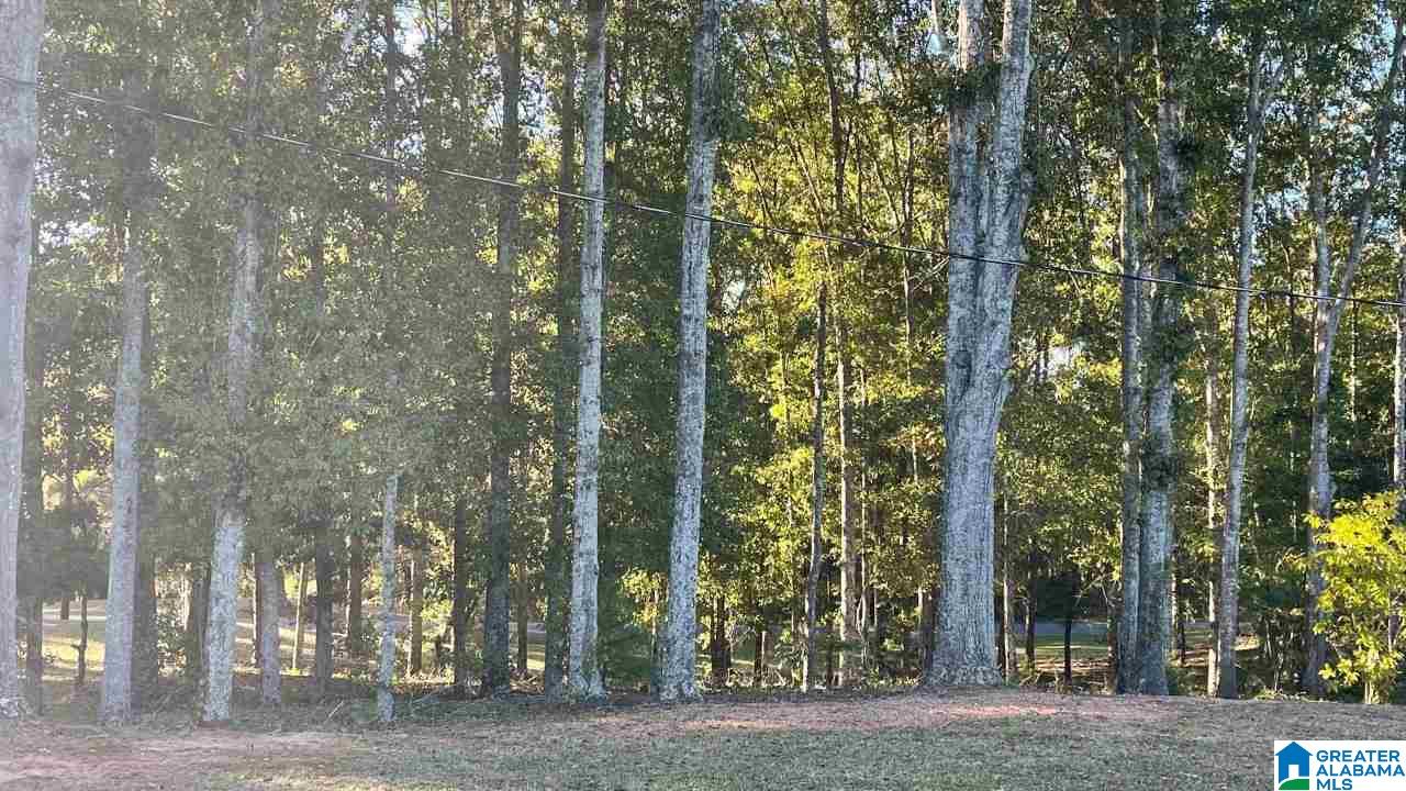 220 Dakota Road Thorsby, AL 35171 - Photo 7 of 11