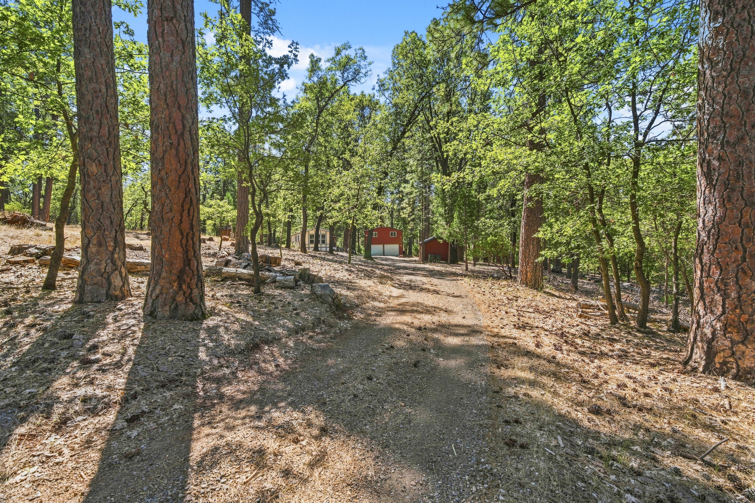 10814 Blue Mountain Ranch Road Whitmore, CA 96096 - Photo 41 of 45 TUF00856