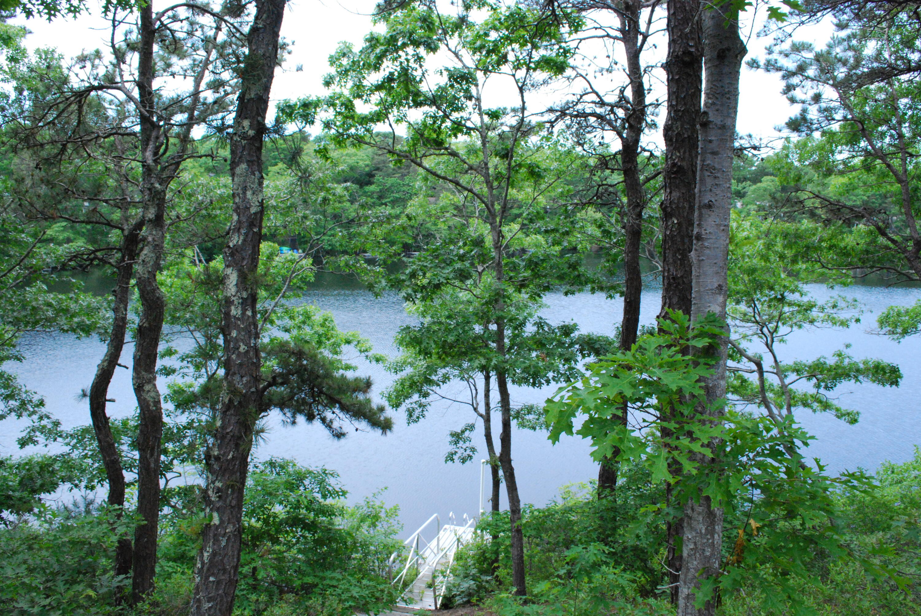 184 Fells Pond Road Mashpee, MA 02649 - Photo 1 of 10 mls01