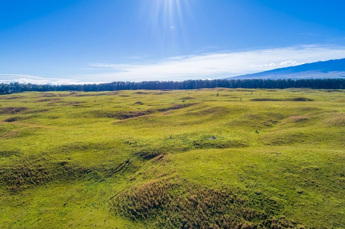15 Mud Lane Kamuela, HI 96743 - Photo 13 of 25 a view of an ocean