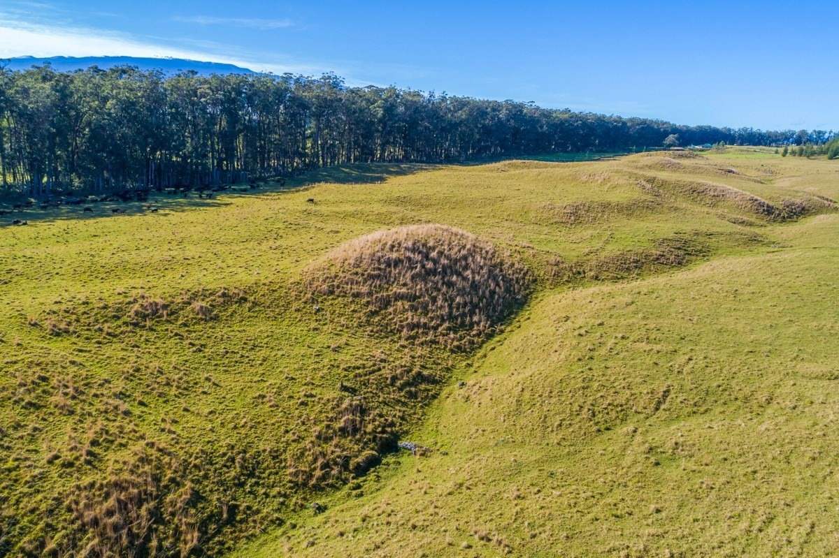 15 Mud Lane Kamuela, HI 96743 - Photo 14 of 25 a view of an ocean view