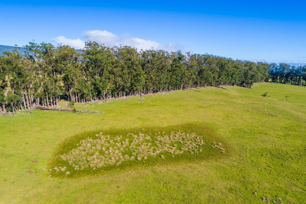15 Mud Lane Kamuela, HI 96743 - Photo 15 of 25 a view of an ocean from a yard