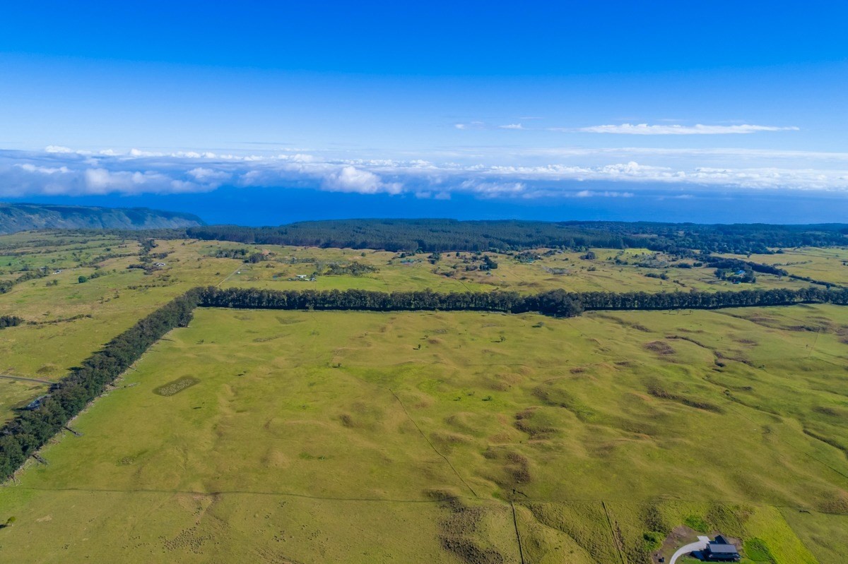15 Mud Lane Kamuela, HI 96743 - Photo 17 of 25 a view of an ocean