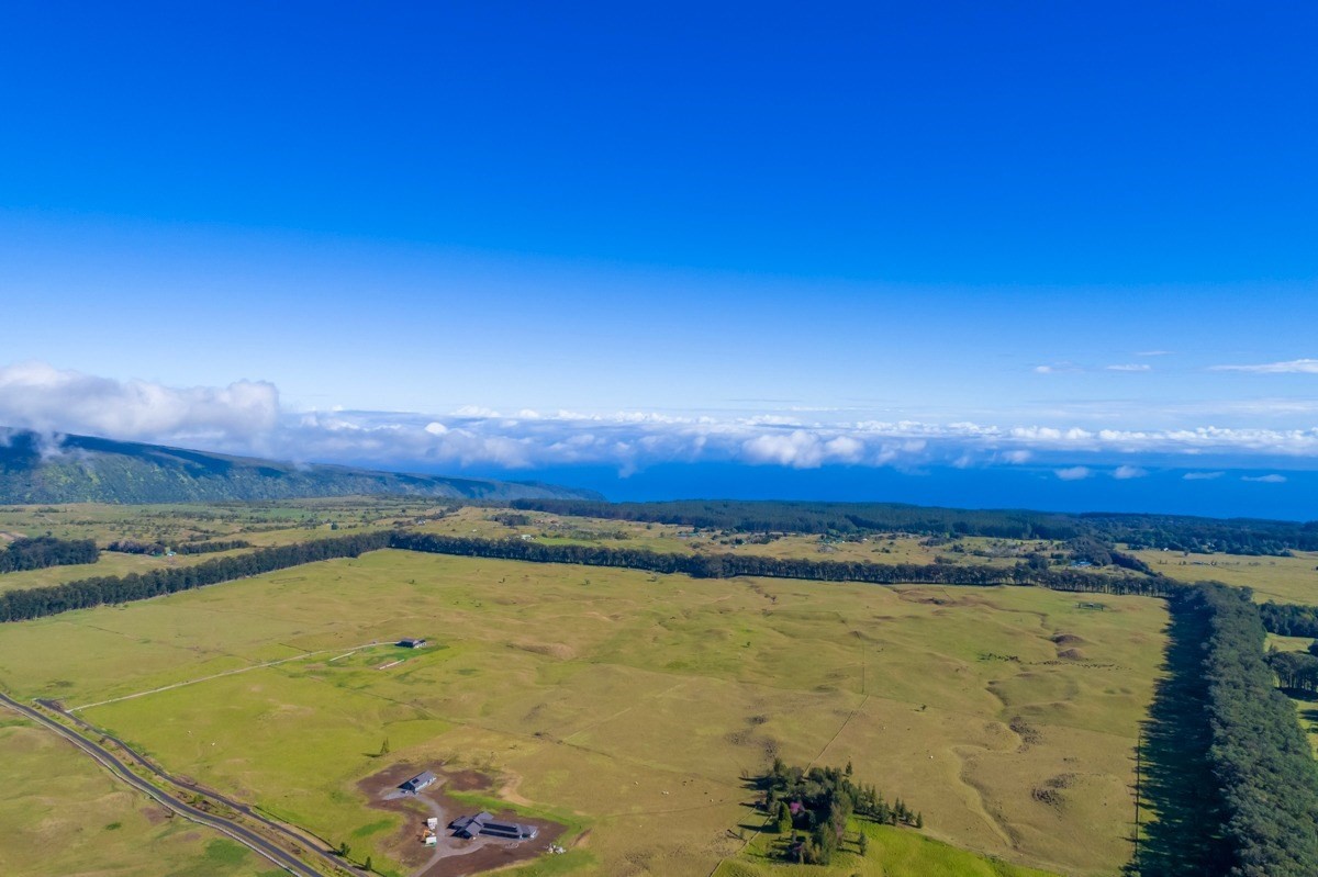 15 Mud Lane Kamuela, HI 96743 - Photo 20 of 25 a view of an outdoor space and mountain view
