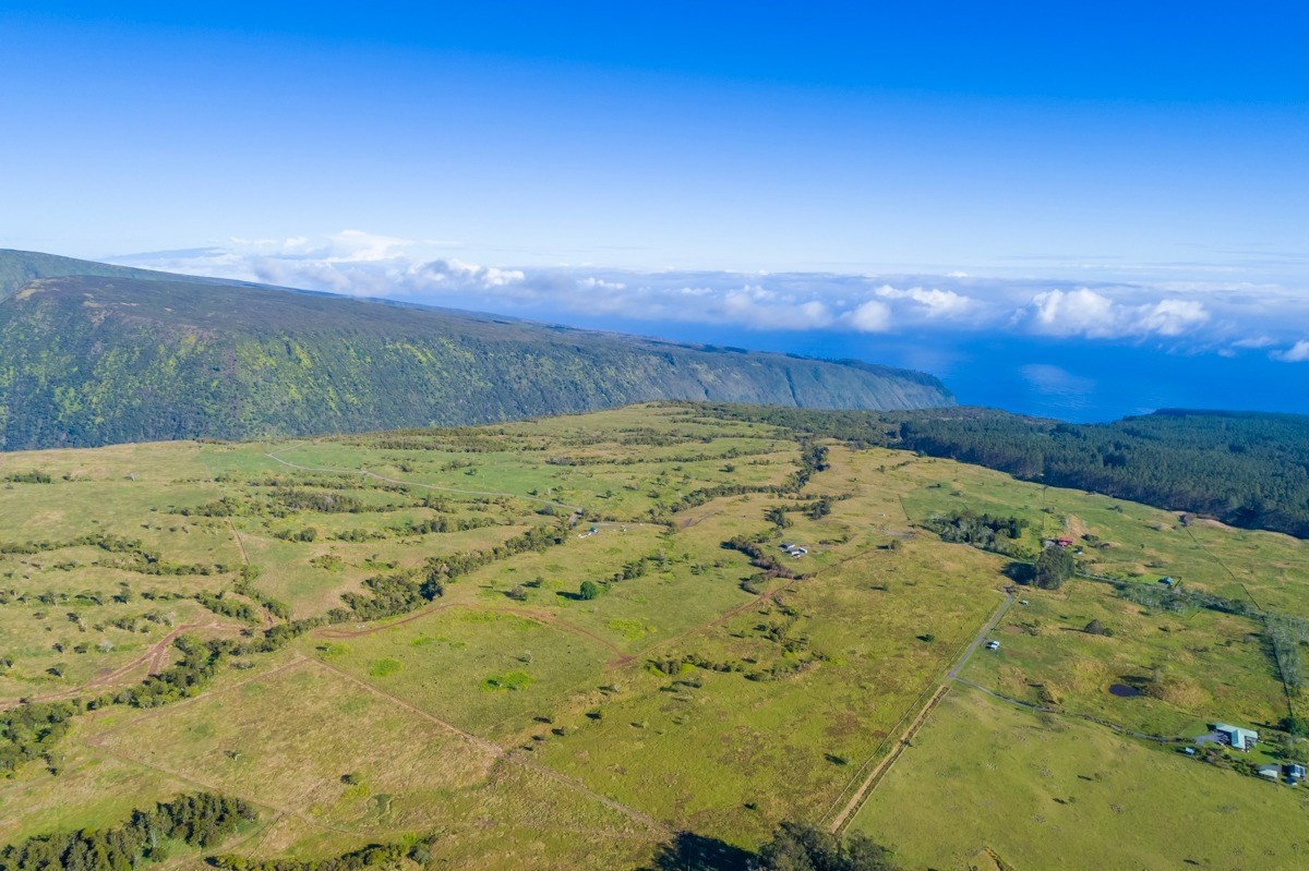 15 Mud Lane Kamuela, HI 96743 - Photo 2 of 25 a view of an ocean