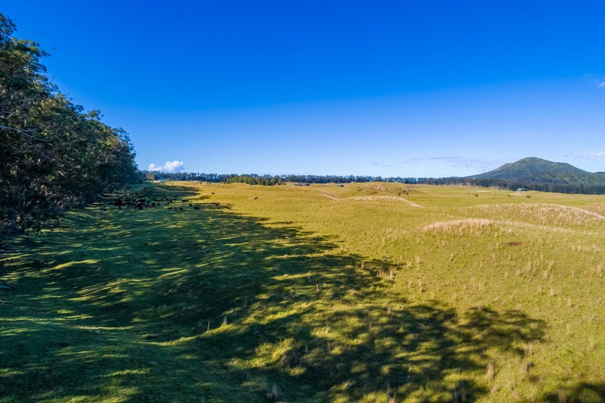 15 Mud Lane Kamuela, HI 96743 - Photo 23 of 25 a view of an ocean from a yard