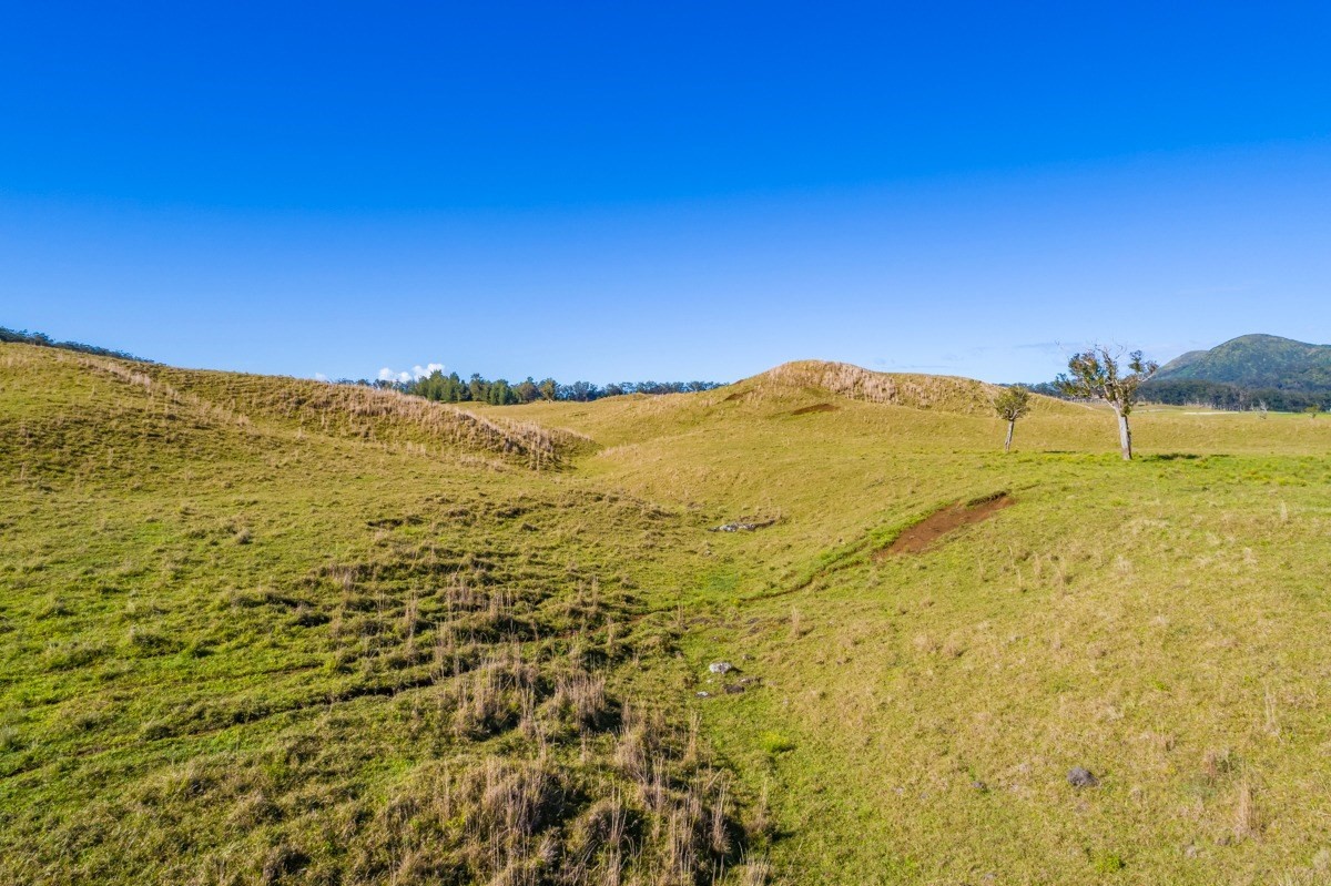 15 Mud Lane Kamuela, HI 96743 - Photo 24 of 25 a view of an ocean