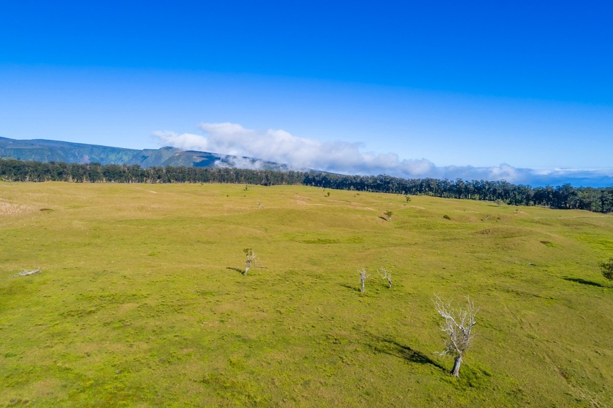 15 Mud Lane Kamuela, HI 96743 - Photo 25 of 25 a view of an ocean from a city