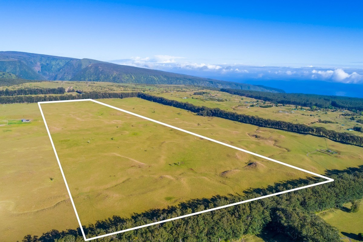 15 Mud Lane Kamuela, HI 96743 - Photo 8 of 25 a view of an empty room with a bathtub