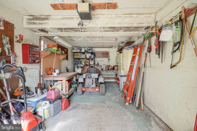 a backyard of water with tall trees