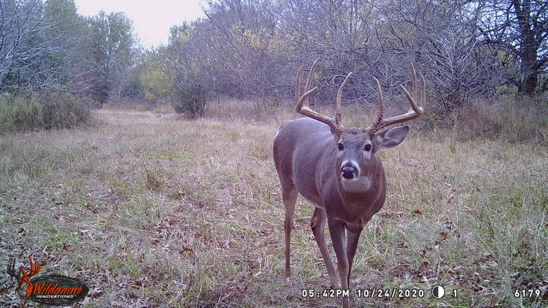 0 Southwest 13527th Road Hume, MO 64752 - Photo 1 of 1 WGI_6179_resize