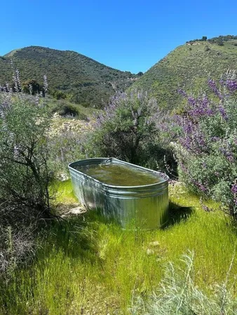 $229,000 | 47208 Arroyo Seco Road, Greenfield, CA 93927