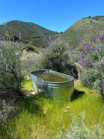 a view of a swimming pool with a yard
