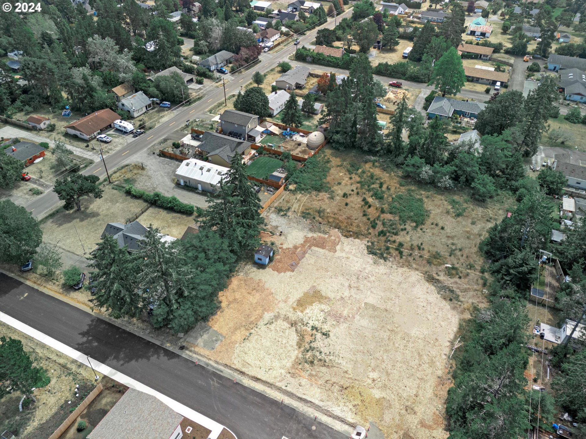 35340 Bayside Gardens Road Nehalem, OR 97131 - Photo 6 of 23 a view of a forest with a tree