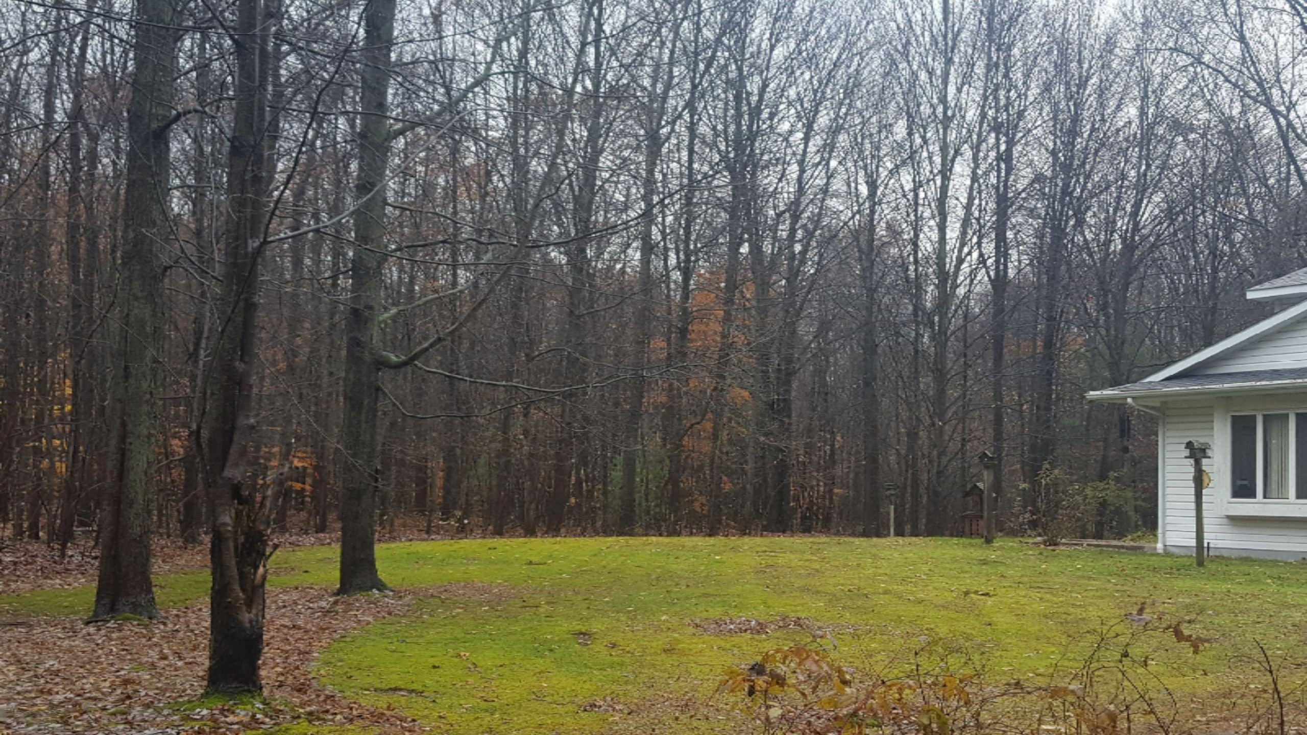 3223 South Sullivan Road Ravenna, MI 49451 - Photo 26 of 29 Resized_20181106_152509