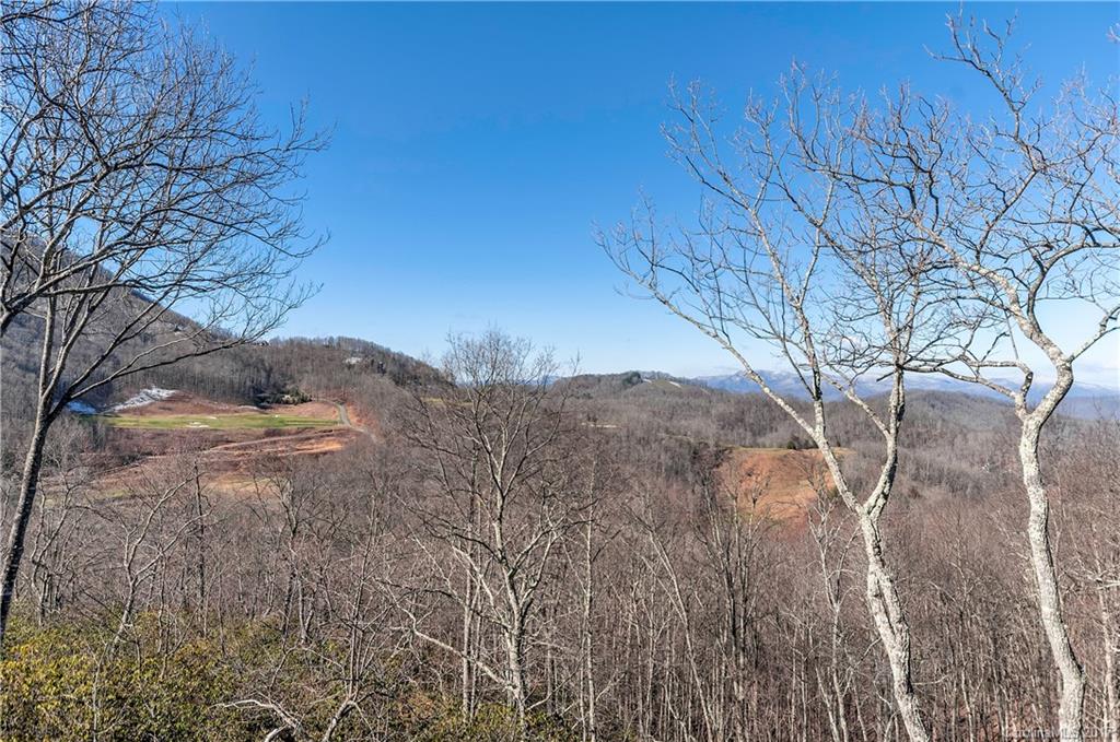 939 Boar Ridge Road, Unit 110 Sylva, NC 28779 - Photo 22 of 23