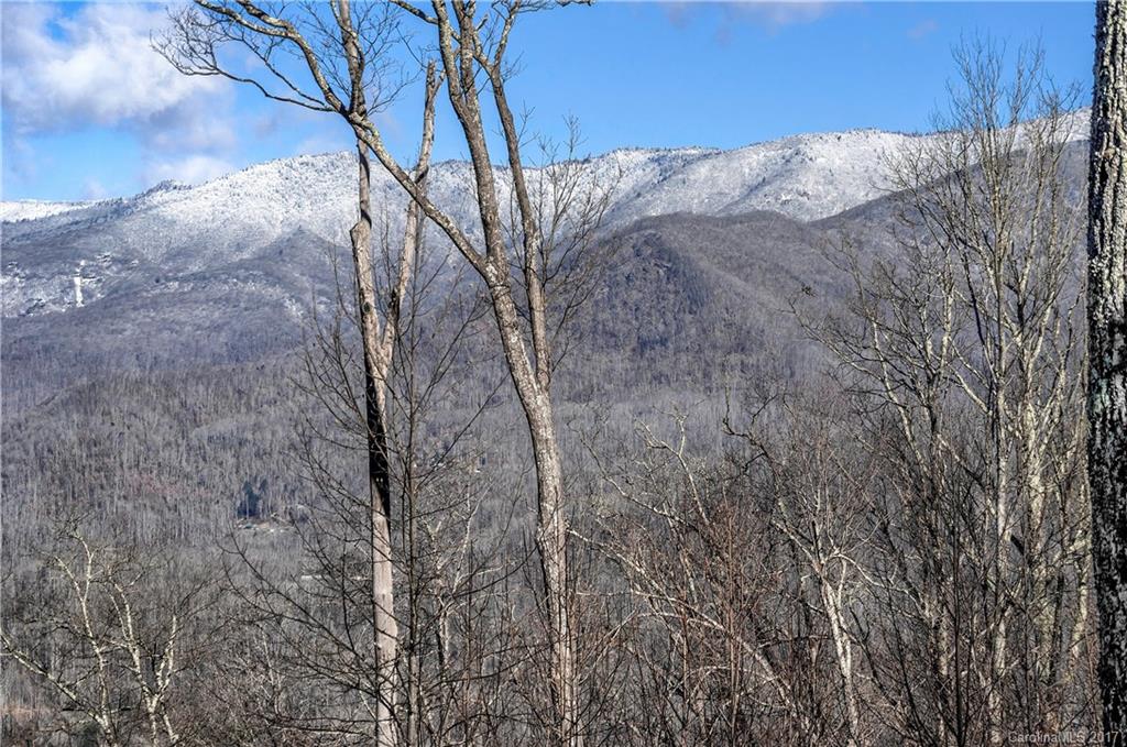 939 Boar Ridge Road, Unit 110 Sylva, NC 28779 - Photo 23 of 23