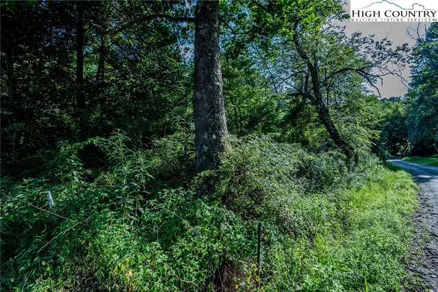$26,900 | Lot 78 Lucy Bell Road, Crumpler, NC 28617