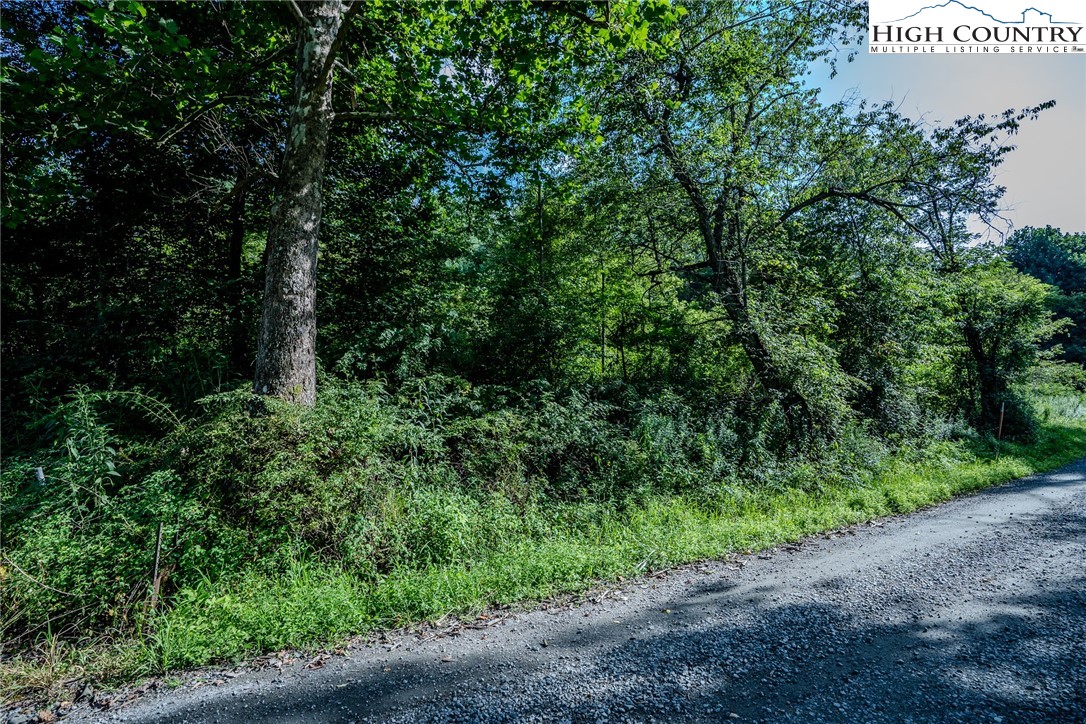 Lot 78 Lucy Bell Road Crumpler, NC 28617 - Photo 12 of 16