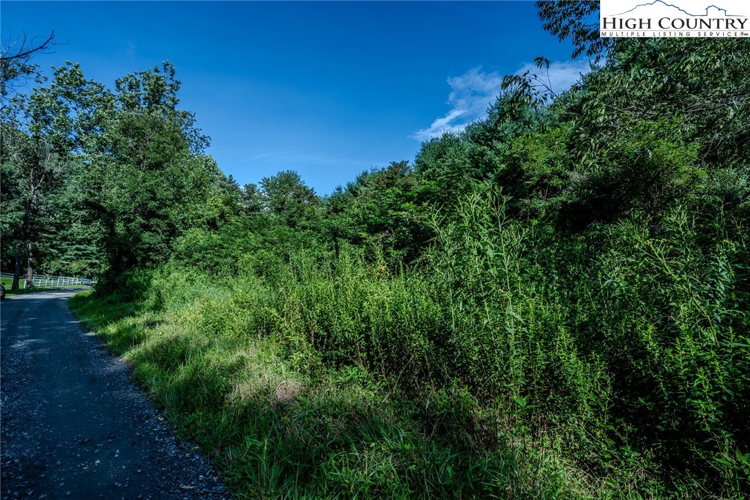 Lot 78 Lucy Bell Road Crumpler, NC 28617 - Photo 14 of 16