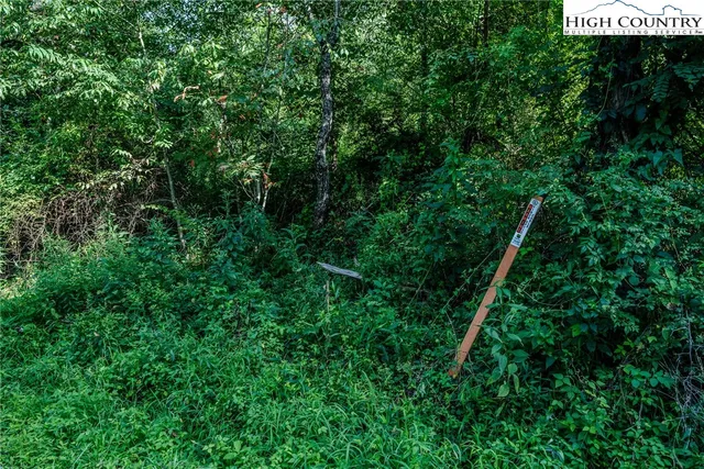 $26,900 | Lot 78 Lucy Bell Road, Crumpler, NC 28617