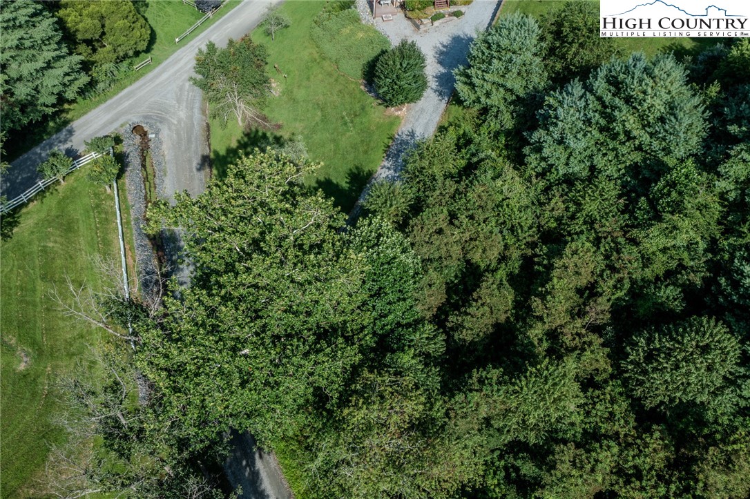 Lot 78 Lucy Bell Road Crumpler, NC 28617 - Photo 5 of 16