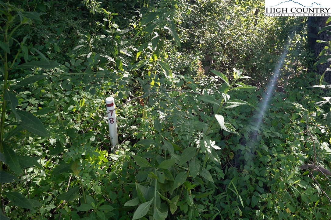 Lot 78 Lucy Bell Road Crumpler, NC 28617 - Photo 9 of 16