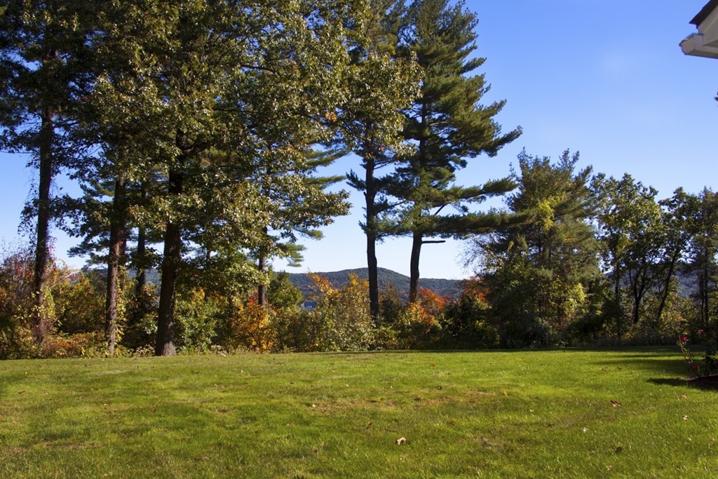 1170 Florence Road Northampton, MA 01062 - Photo 5 of 25 a view of a field with trees