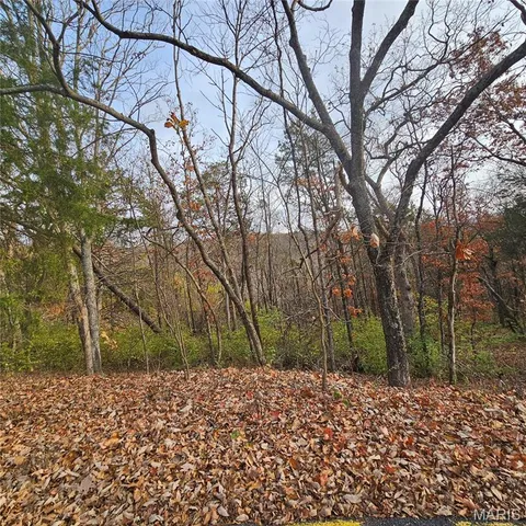 $5,000 | 6900 Scenic View Drive, House Springs, MO 63051