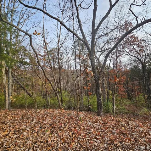 $5,000 | 6900 Scenic View Drive, House Springs, MO 63051