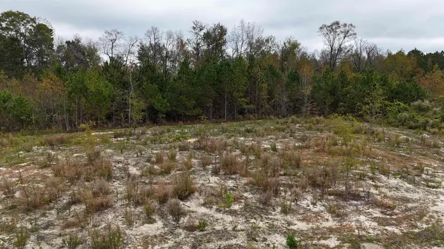 $152,000 | Tbd Sarvis Road, Loris, SC 29569