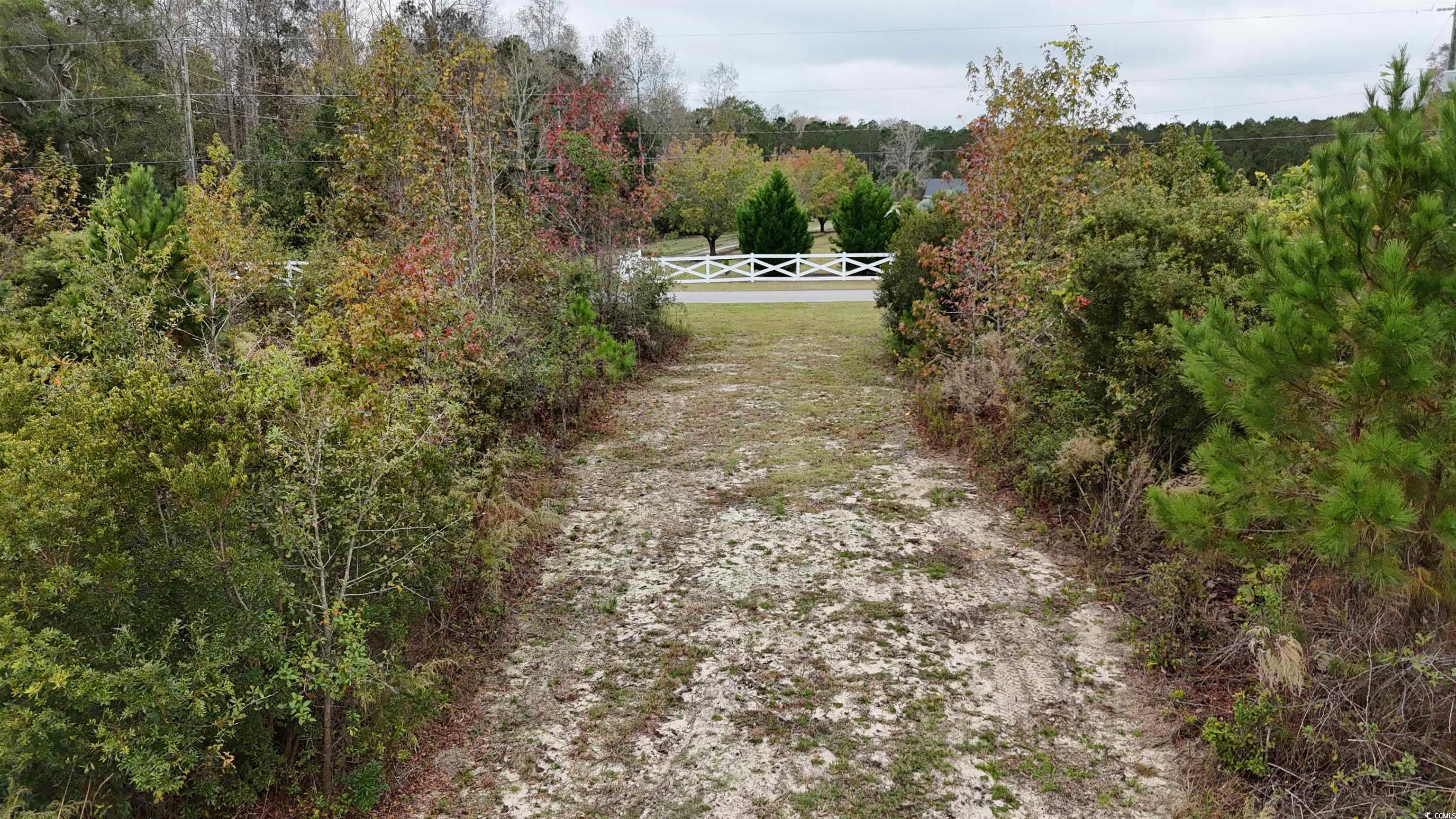 Tbd Sarvis Road Loris, SC 29569 - Photo 4 of 9 View of yard featuring a wooded view