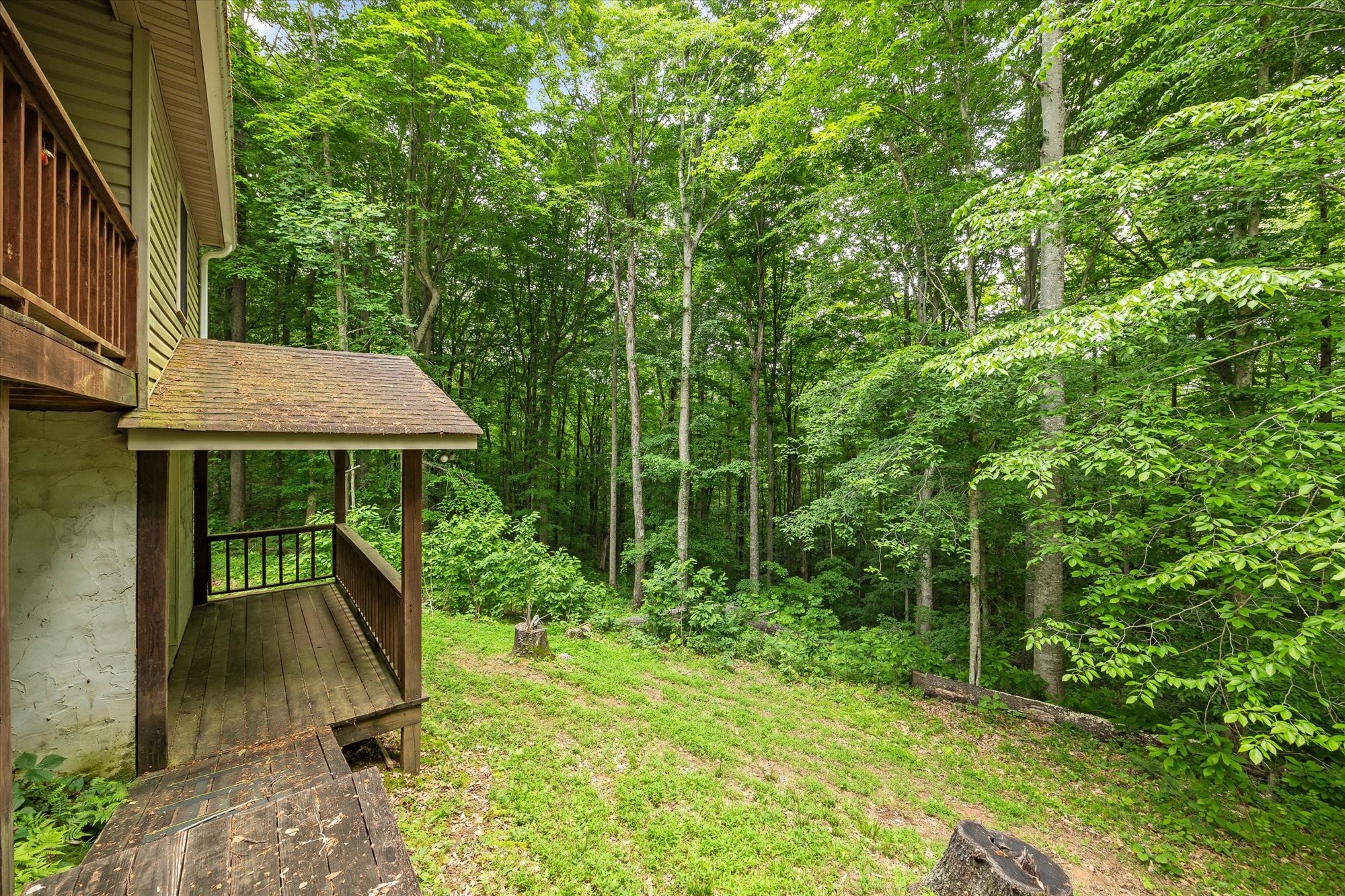 1103 Boles Beaty Road Alpine, TN 38543 - Photo 18 of 24 a view of backyard with green space