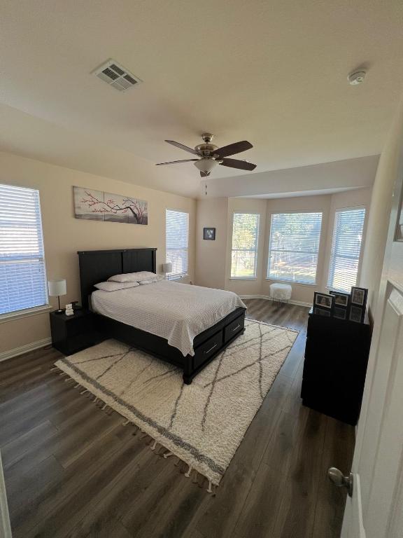 19413 Bridie Path Pflugerville, TX 78660 - Photo 18 of 26 a bedroom with a bed and window