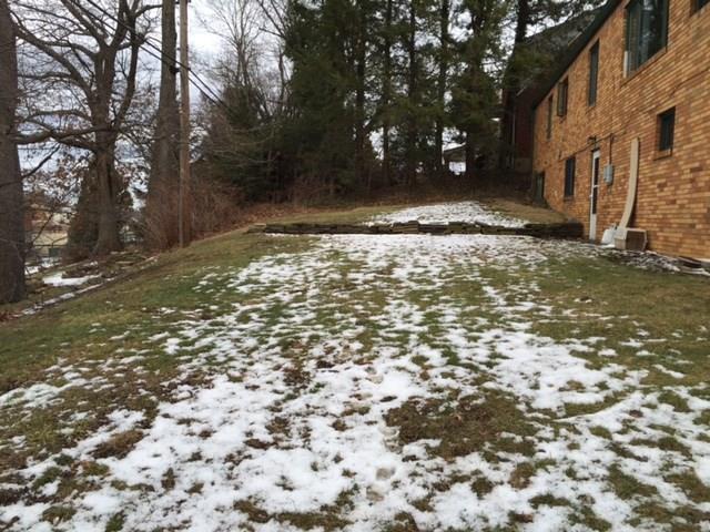 1101 Prospect Road Whitehall, PA 15227 - Photo 19 of 19 Better picture of the level rear yard