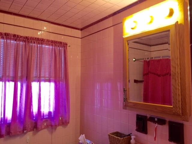 1101 Prospect Road Whitehall, PA 15227 - Photo 9 of 19 Updated bathroom