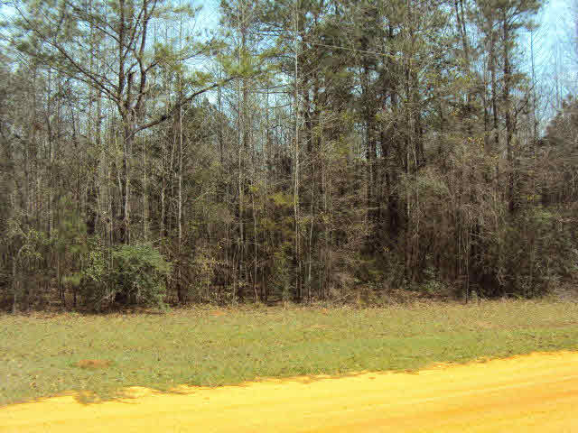 0 Mockingbird Lane Atmore, AL 36502 - Photo 2 of 3 Lot Front
