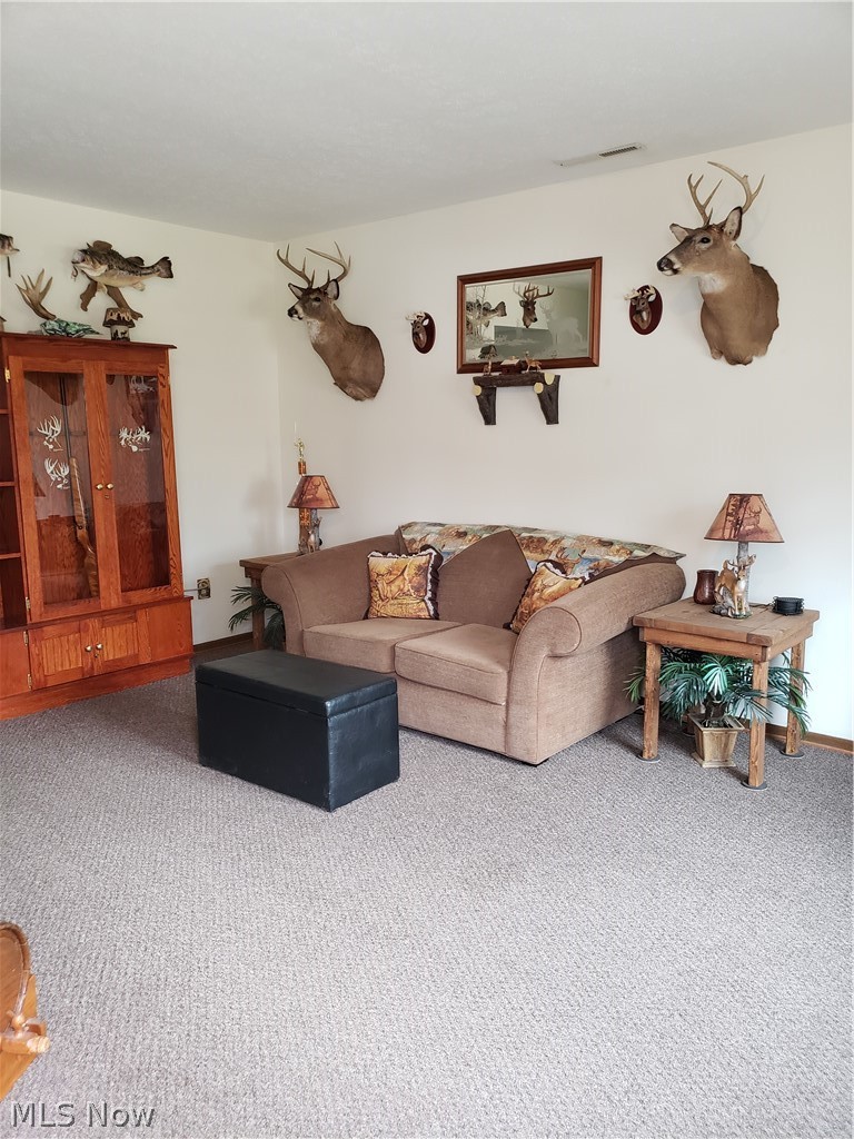 1350 Stroup Road Atwater, OH 44201 - Photo 11 of 20