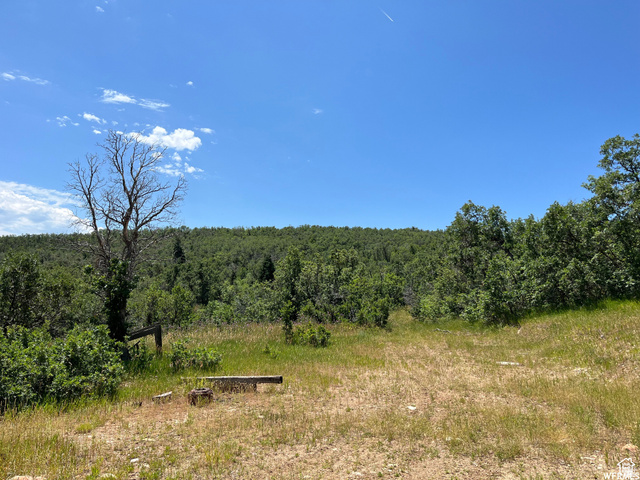 St, Unit 41 Springville, UT 84663 - Photo 1 of 12 View of wooded area