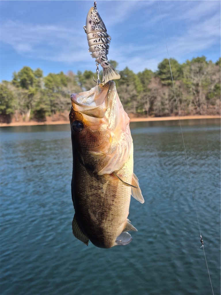 301 Switch Road Richmond, RI 02832 - Photo 23 of 24 Fresh Catch!!