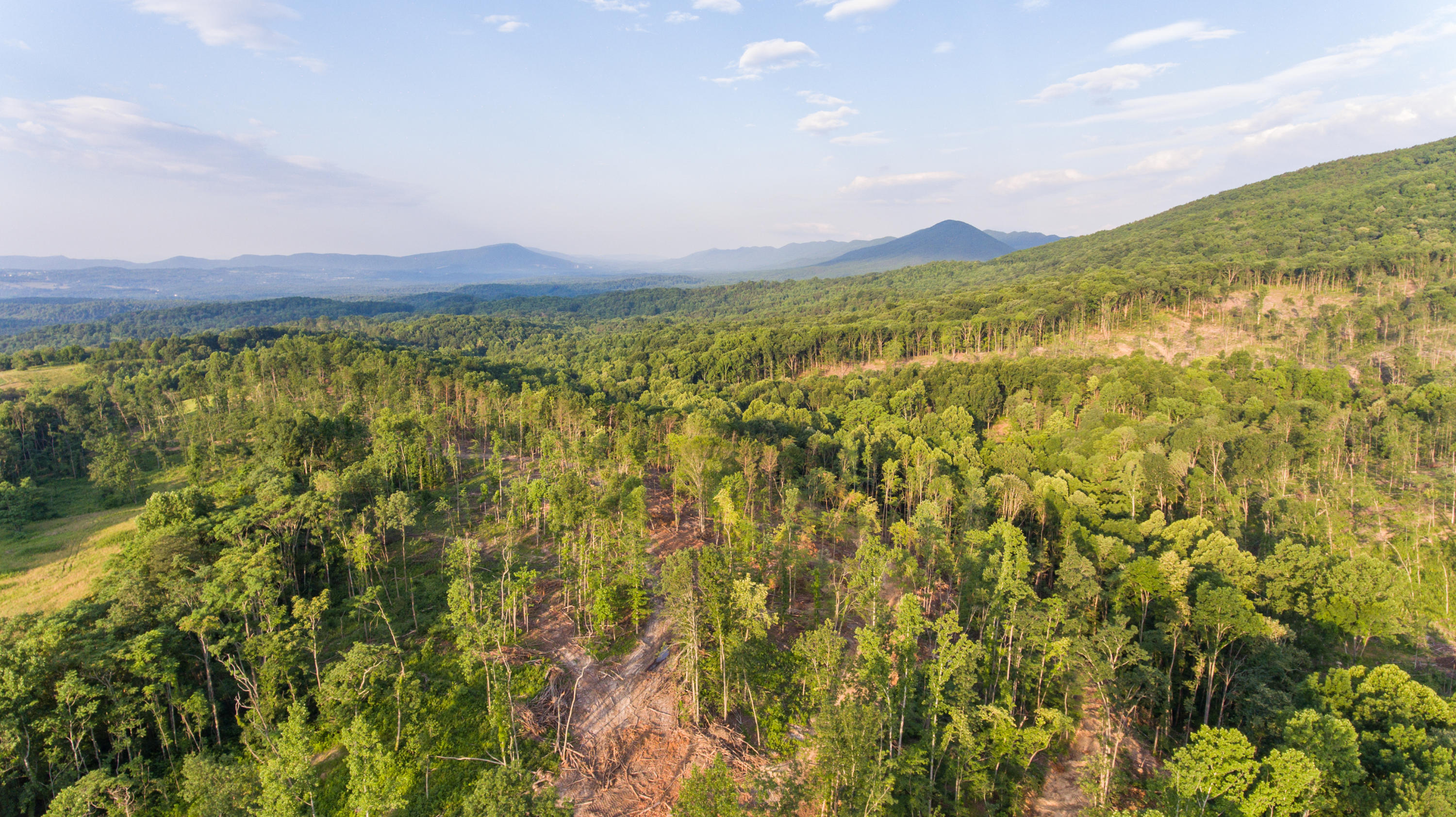 2399 White Church Road Fincastle, VA 24090 - Photo 12 of 13 Aerial