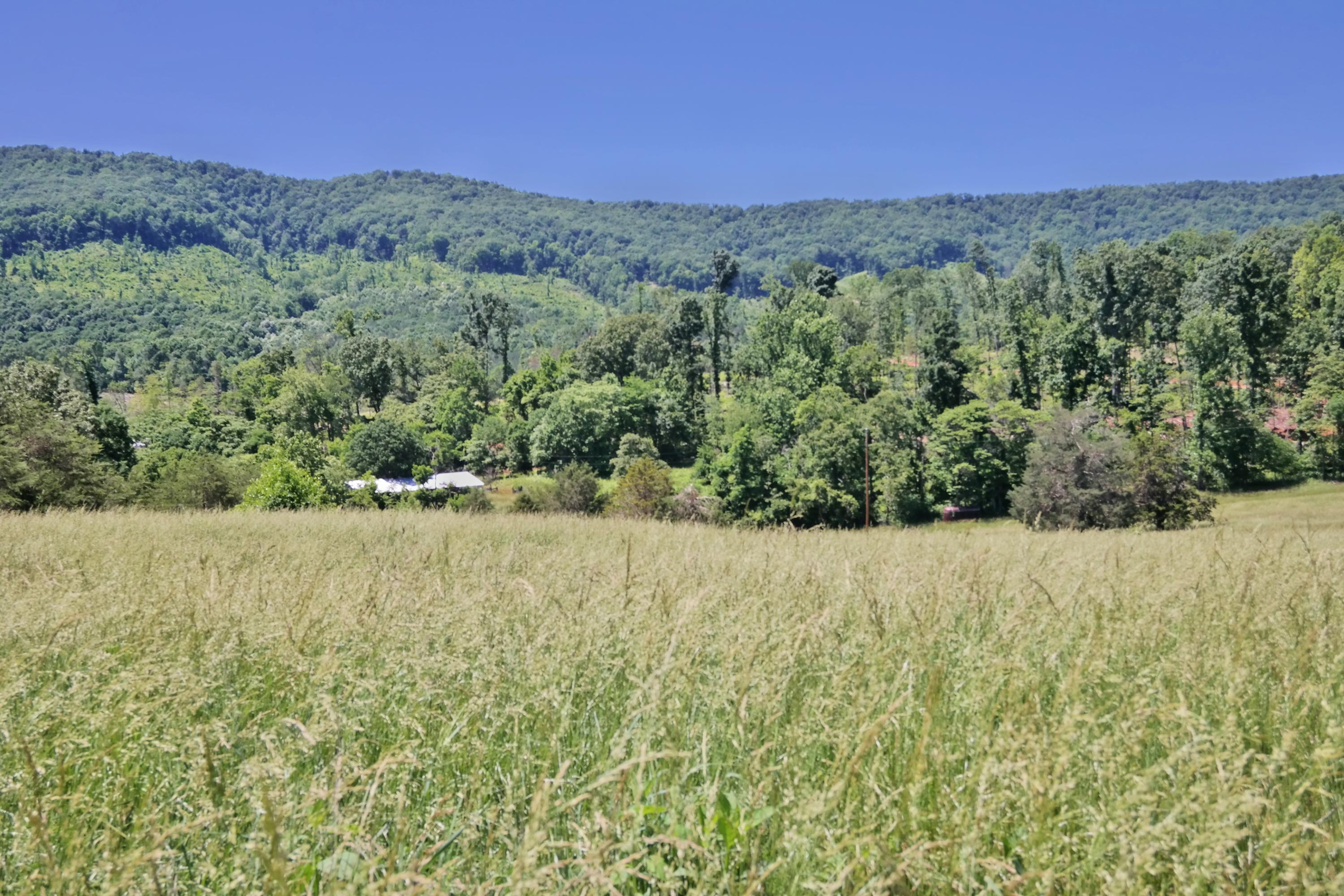 Land View