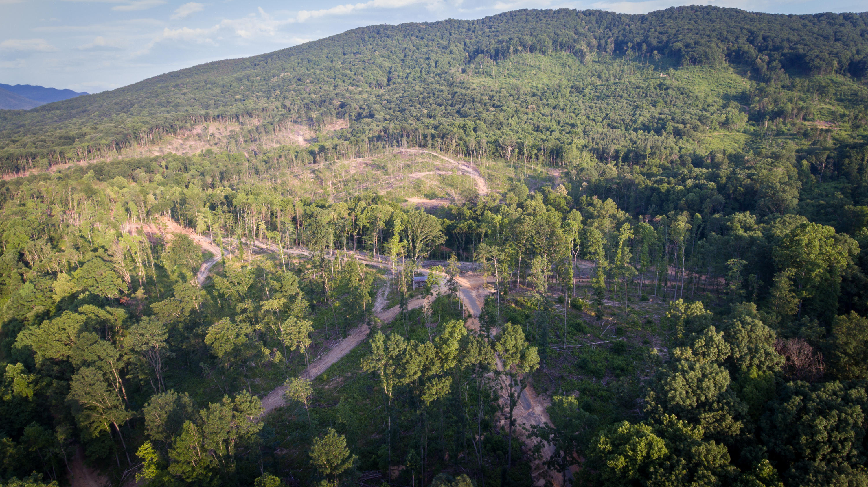 2399 White Church Road Fincastle, VA 24090 - Photo 8 of 13 Aerial