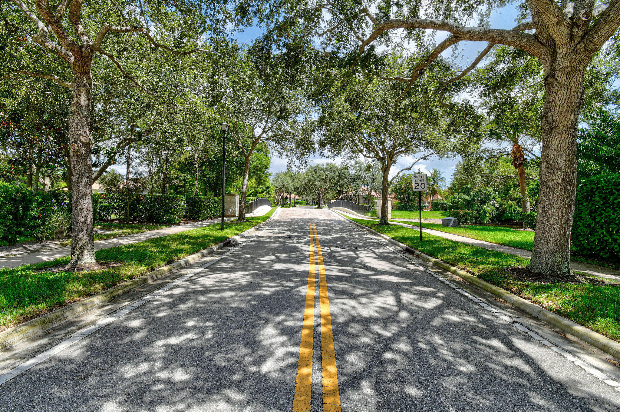 136 Via Catalunha Jupiter, FL 33458 - Photo 56 of 64 a view of a park with a tree