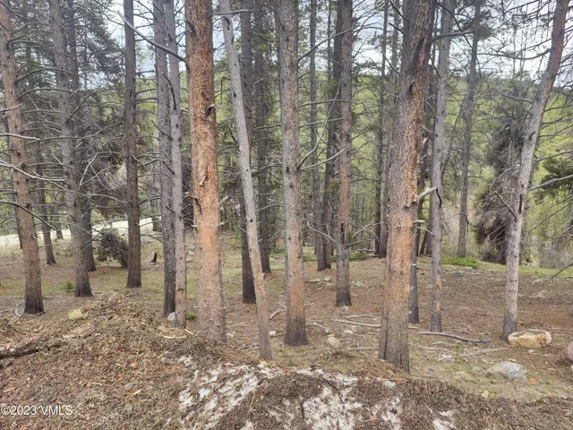 a view of a outdoor space